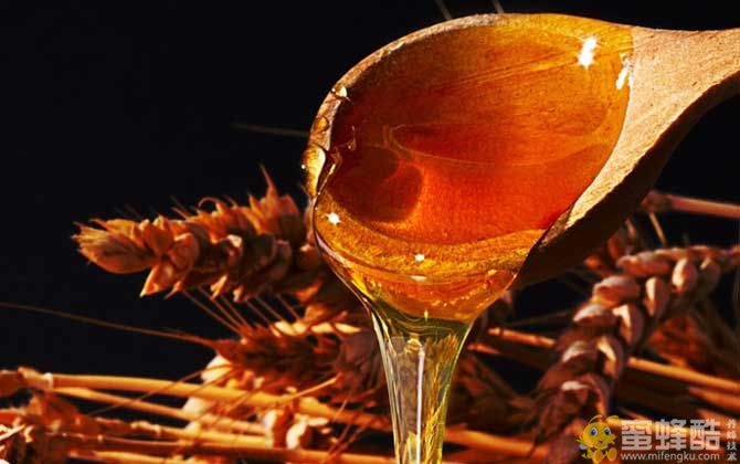 浓缩蜜是什么意思？浓缩蜜和天然蜜的区别？(图1)