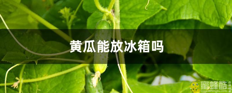 黄瓜能放冰箱里保存吗多久?